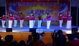 秧歌舞蹈视频大全,视频大全中的民族韵律之旅